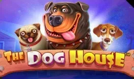 The Dog House – Mr Jones Casino