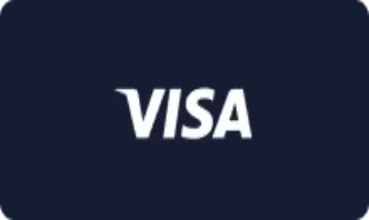 Visa banking at Mr Jones Casino